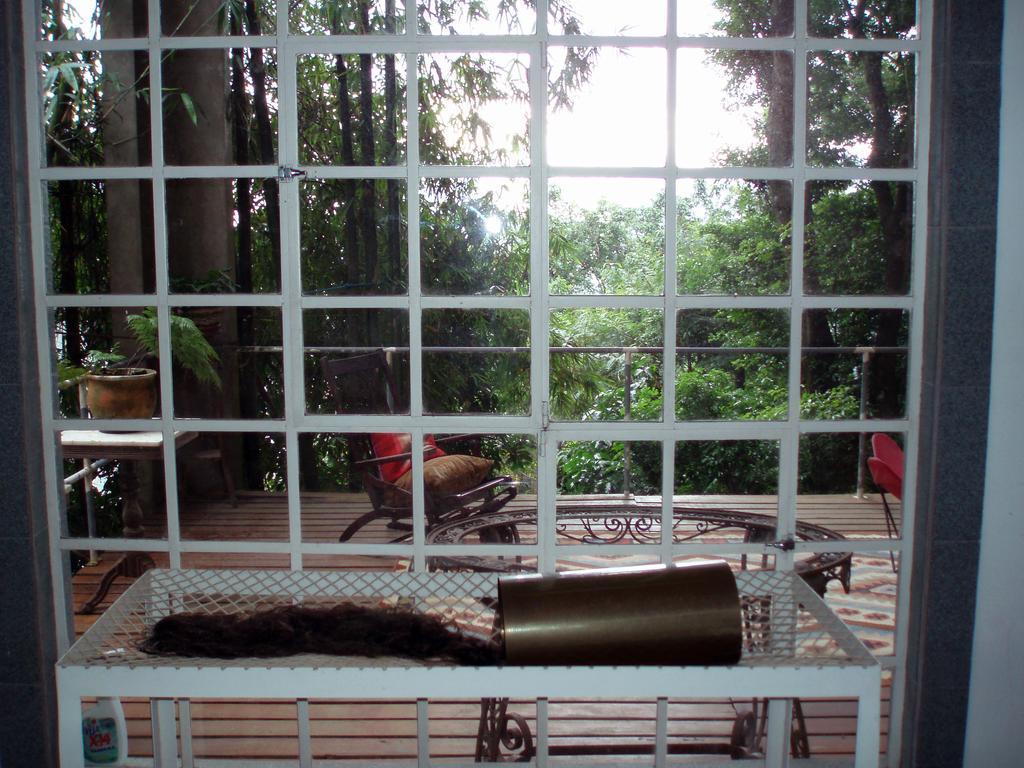 Vitoria Regia 3*