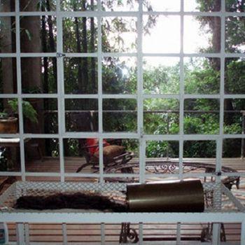 Vitoria Regia Acomodação com café da manhã 
